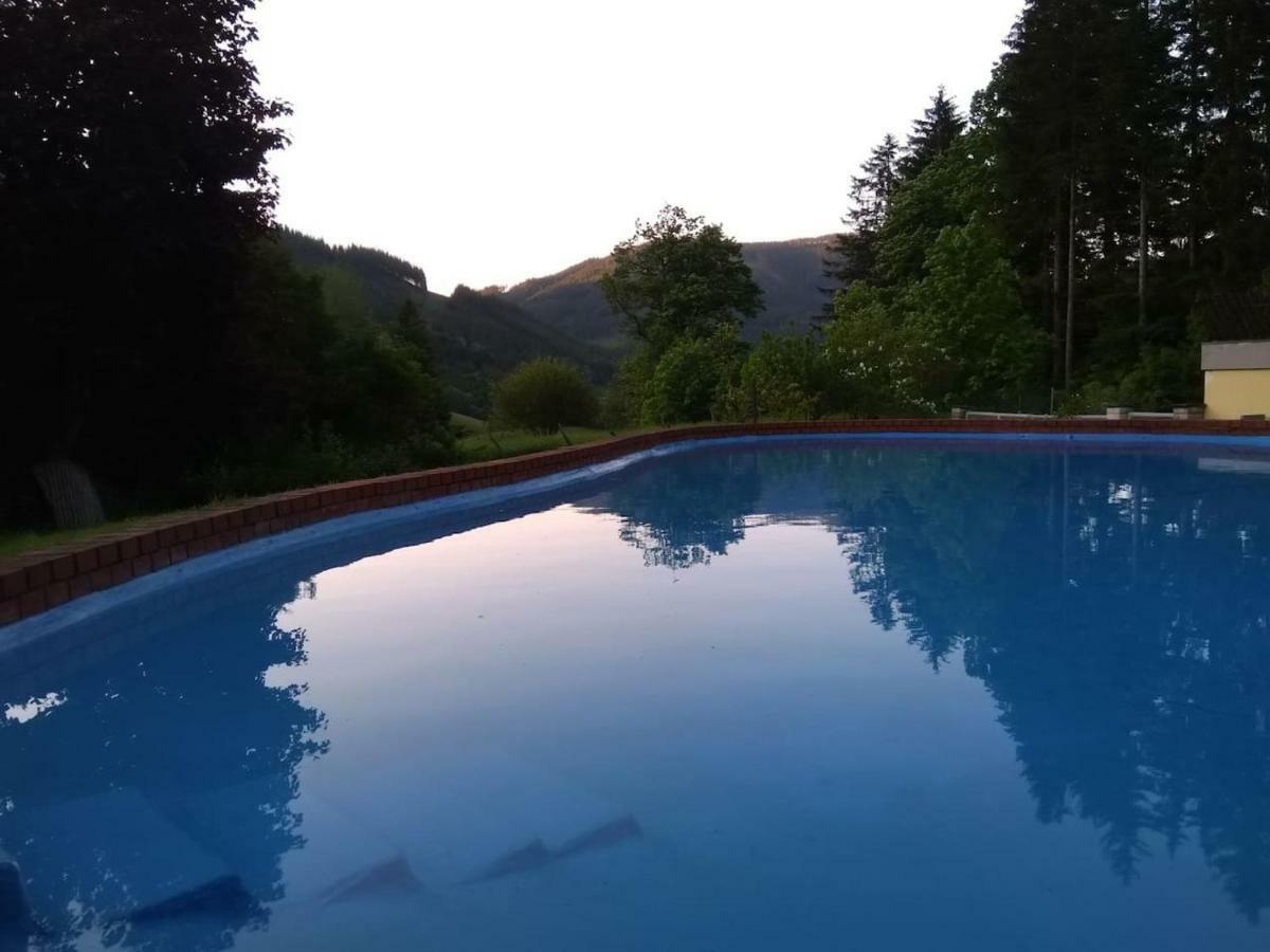 Pool, Pokale, Sauna, Billard, Kirche U. Viel Natur Vordernberg 외부 사진